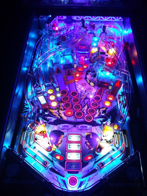 Flippers Williams Demolition Man 5