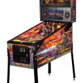 Vignette Flippers Stern Pinball Black Knight : Sword of Rage Limited Edition 1