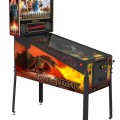 Vignette Flippers Stern Pinball Game of Thrones Limited Edition 1