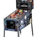 Vignette Flippers Stern Pinball The Mandalorian Limited Edition 1