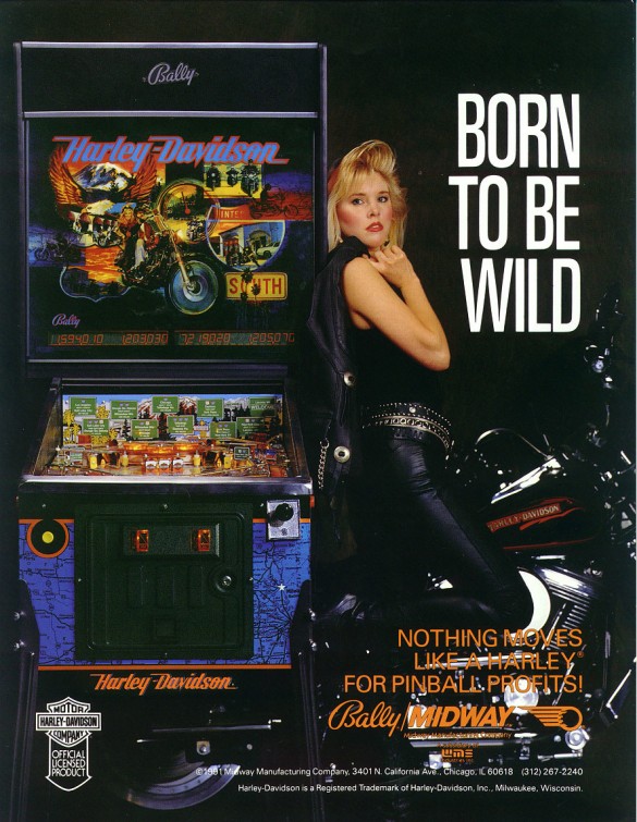 Flippers Stern Pinball Harley Davidson 13