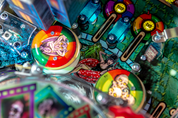 Flippers Stern Pinball Elvira's House of Horrors Limited Edition 3