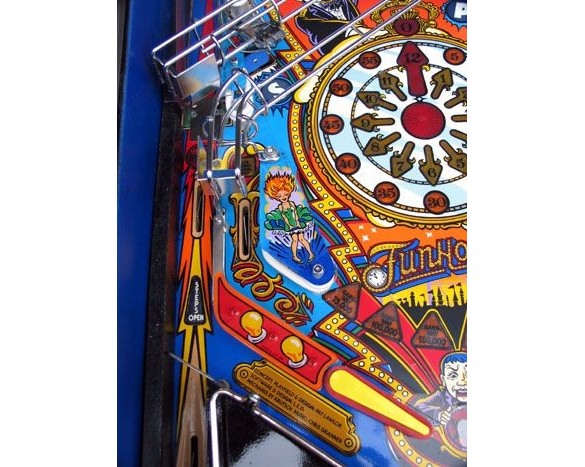 Flippers Williams FunHouse 12