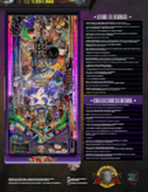 Flippers Jersey Jack Pinball Guns N' Roses Collector's Edition 3