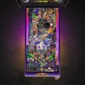 Vignette Flippers Jersey Jack Pinball Guns N' Roses Collector's Edition 6
