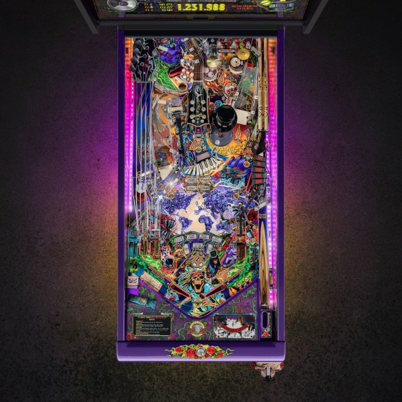 Flippers Jersey Jack Pinball Guns N' Roses Collector's Edition 6