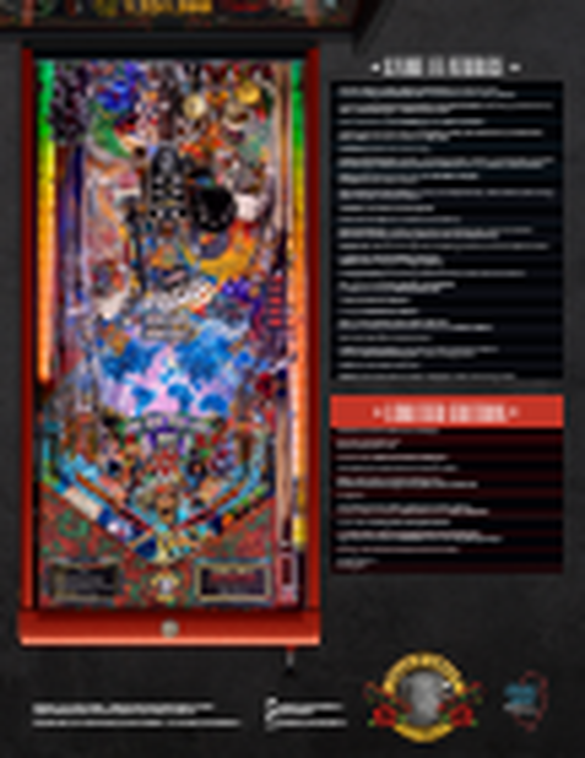 Flippers Jersey Jack Pinball Guns N' Roses Limited Edition 3