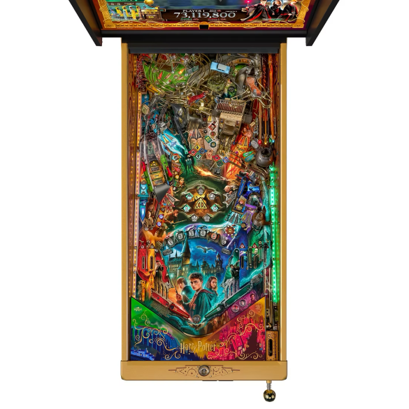Flippers Jersey Jack Pinball Harry Potter Collector's Edition 3