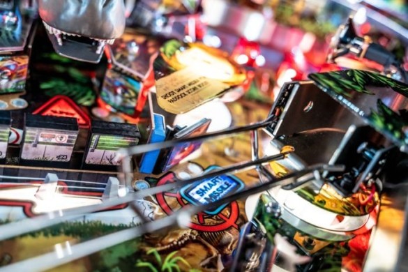 Flippers Stern Pinball Jurassic Parc Pin - Home Edition 15