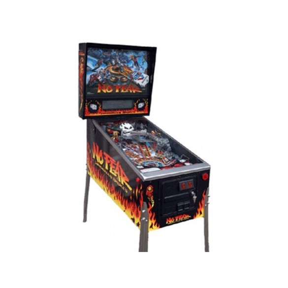 Flippers Williams No Fear 2