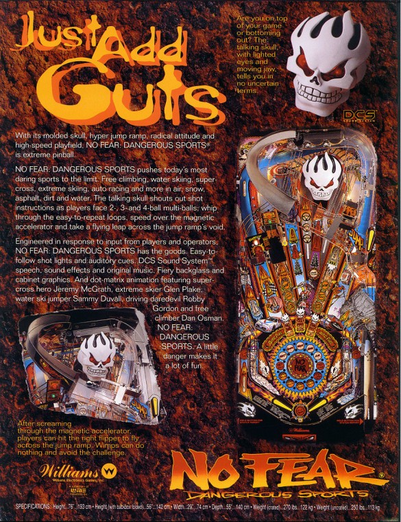 Flippers Williams No Fear 4