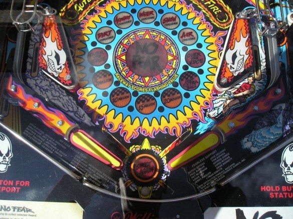 Flippers Williams No Fear 10