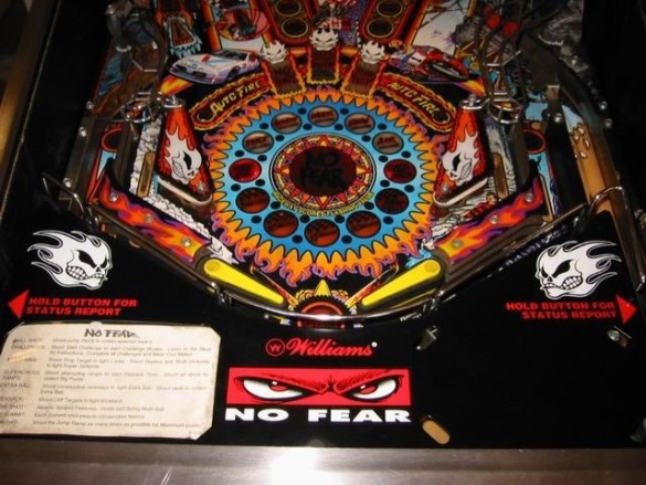 Flippers Williams No Fear 6