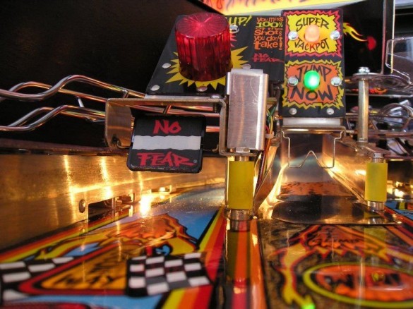 Flippers Williams No Fear 9