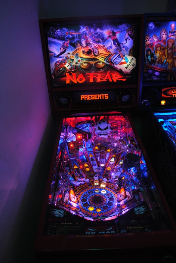 Flippers Williams No Fear 12