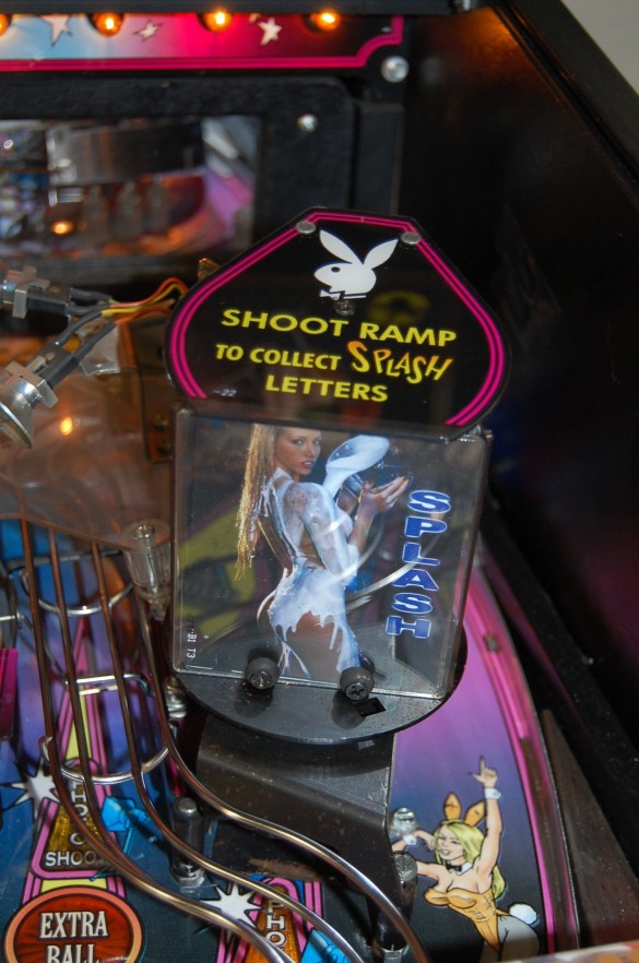 Flippers Stern Pinball Playboy 8