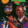 Vignette Flippers SEGA Space Jam 2