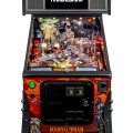 Vignette Flippers Stern Pinball The Mandalorian Pro 2