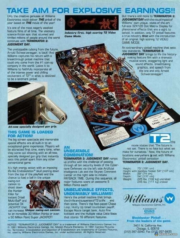 Flippers Williams Terminator 2 9