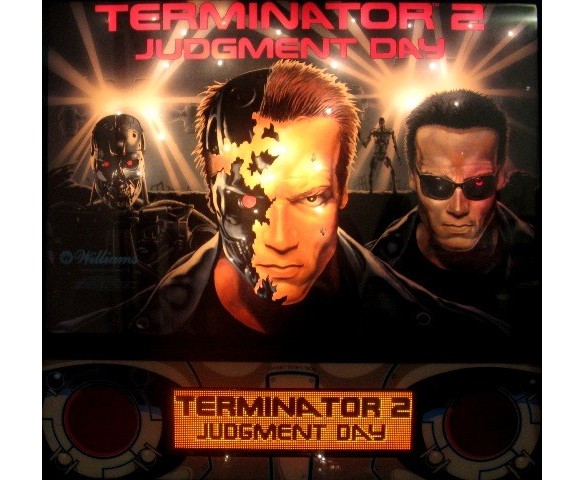 Flippers Williams Terminator 2 2