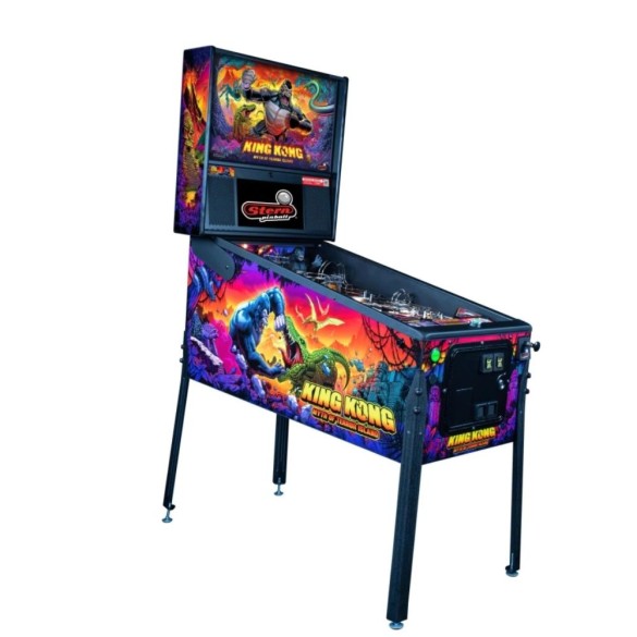 Pages Louer un flipper, baby-foot ou une borne d'arcade à Lyon et ses alentours Location flipper à La Tour-de-Salvagny 1