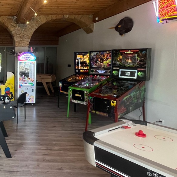 Pages Louer un flipper, baby-foot ou une borne d'arcade à Lyon et ses alentours Location flipper à Saint-Quentin-Fallavier 2