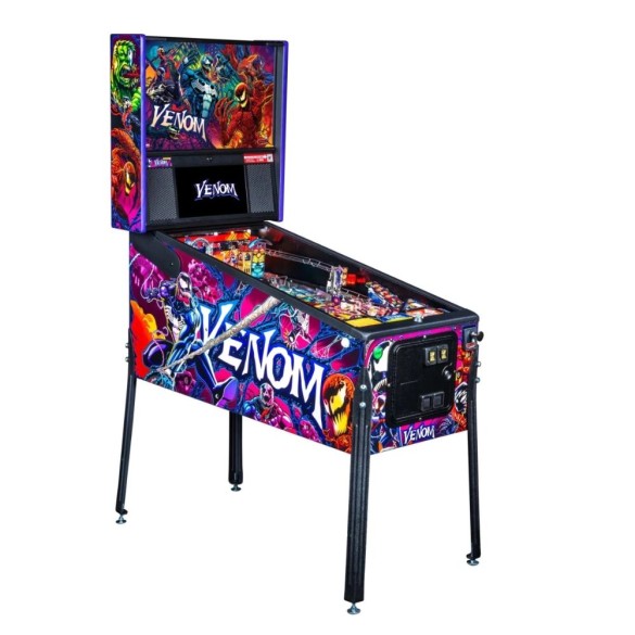 Pages Louer un flipper, baby-foot ou une borne d'arcade à Lyon et ses alentours Location flipper à Thonon-les-Bains 1