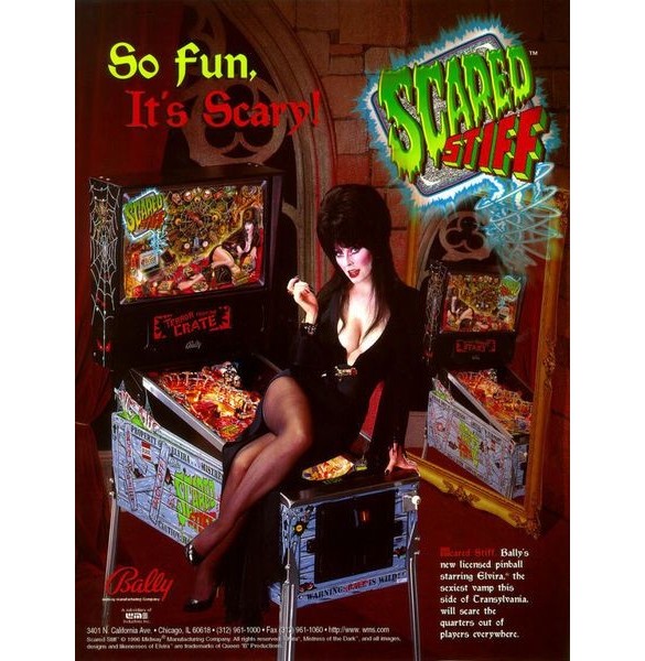 Flippers Bally Scared Stiff 4